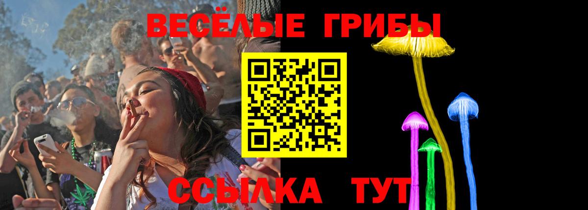 Аксай  Галлюциногенные грибы Psilocybine cubensis  Вход с VPN  Галлюциногенные грибы Psilocybe 